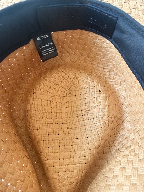 Janessa Leoné Brandie Woven Straw Fedora in Sand main image 4